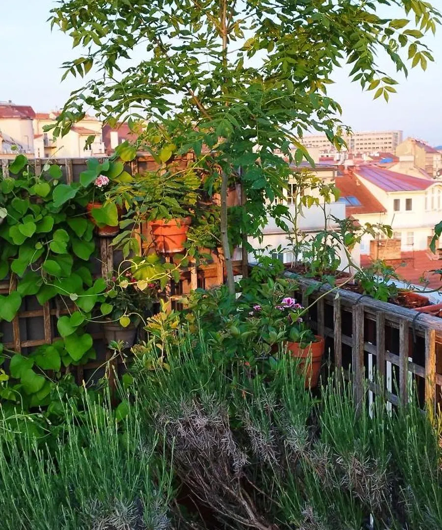 Guestrooms, Rooftop With Garden, Spacious Living Room, Character And Fireplace Prag Çek Cumhuriyeti