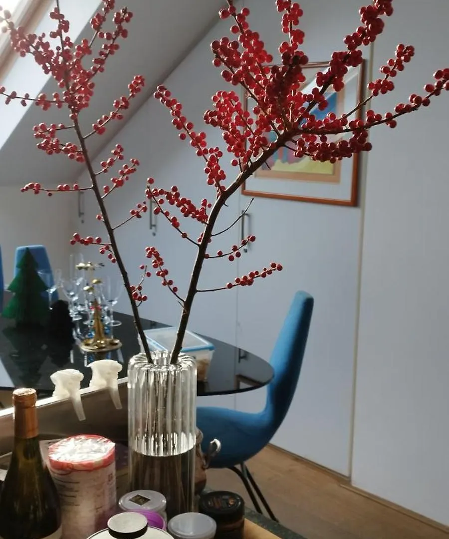 Guestrooms, Rooftop With Garden, Spacious Living Room, Character And Fireplace Prag Konukevi